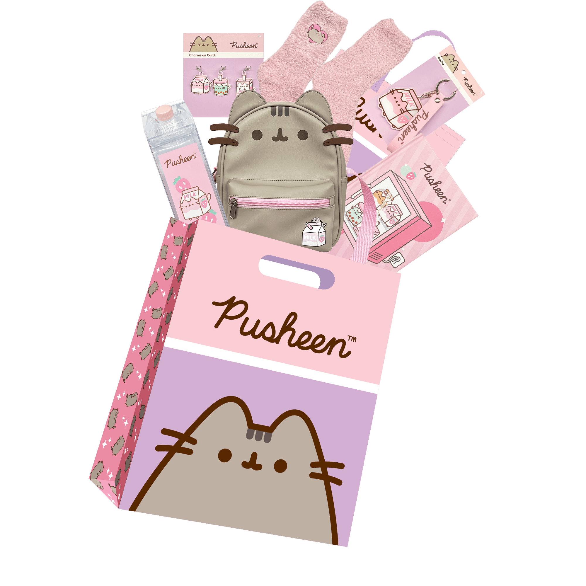 Pusheen Showbag