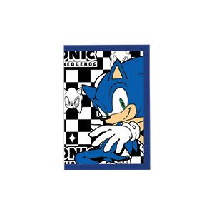 Sonic Showbag - Image 12